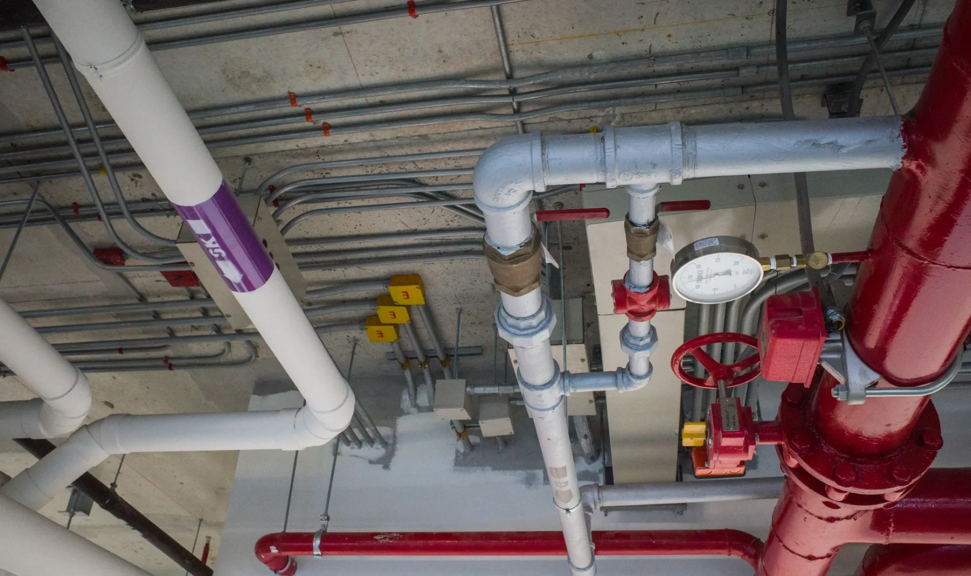 Fire sprinkler riser with a control valve and pressure gauge, connected to overhead piping